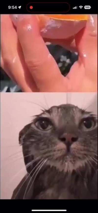 I’m 15 and this is yeet