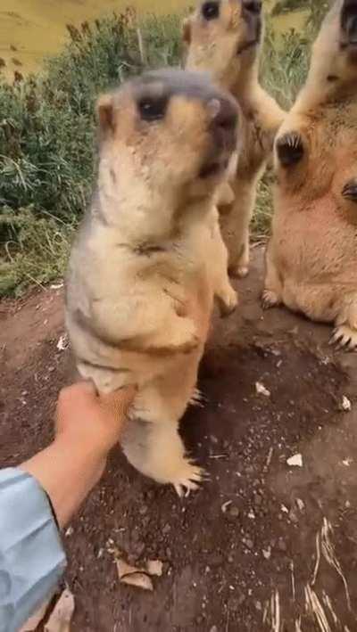 Did you just touch me ?!