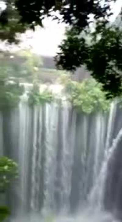 Cenote Ik Kil, Yucatán. En este momento