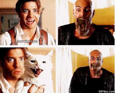 In The Mummy (1999), Imhotep can suck the life out of entire crowds and unleash plagues… yet he’s terrified of cats. You’d think Rick O'Connell would start carrying a sack of kittens, yet somehow the anti-Imhotep feline strategy gets used exactly once and