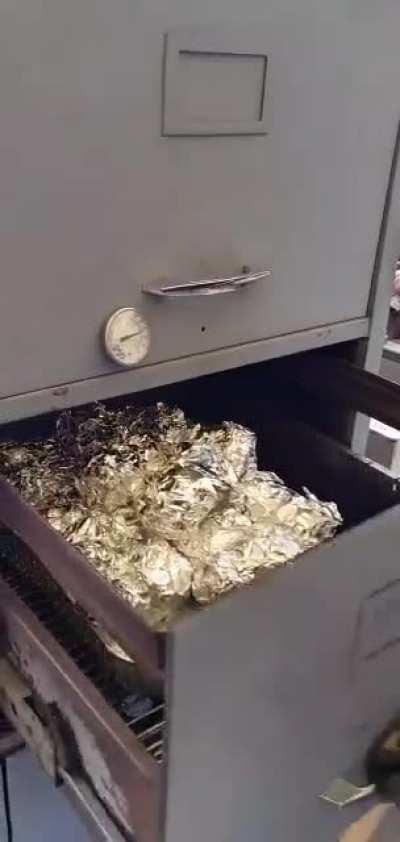 Backyard BBQ Maestro