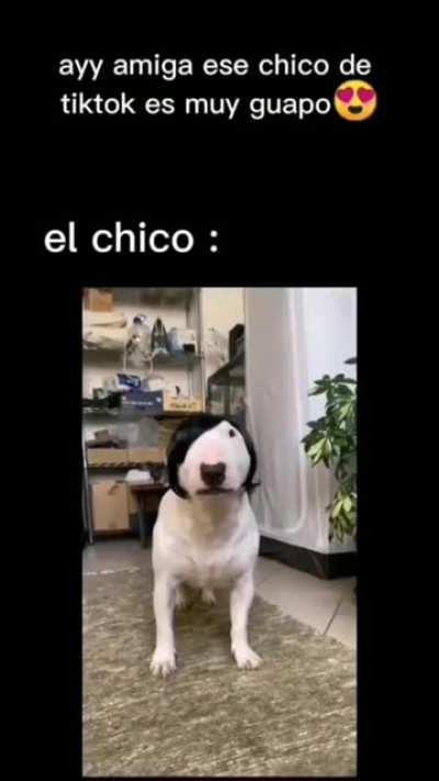 Elena: ay amiga ese chico de youtube es muy guapo