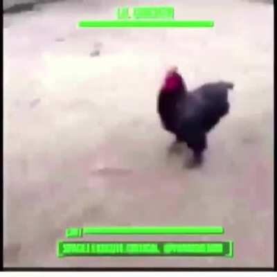 Some fun, some food. It’s all inside this happy meal