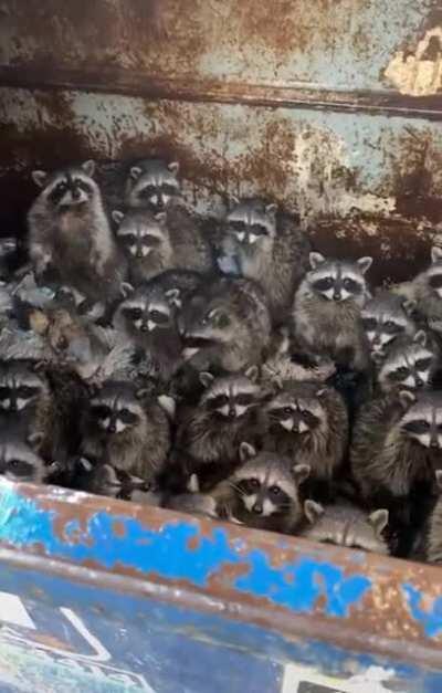 The trash headquarters