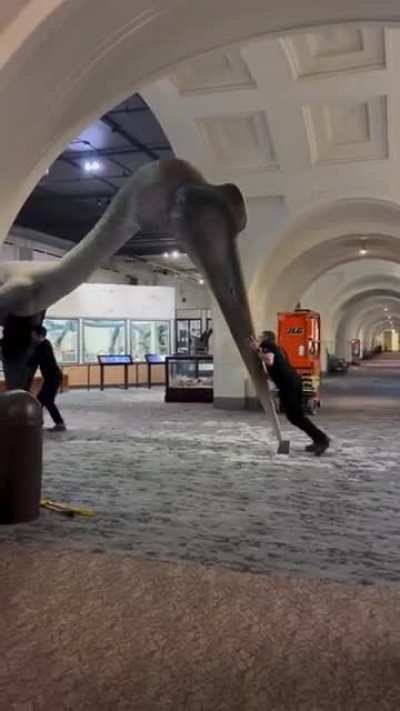 The size of a Quetzalcoatlus, the largest flying creature to ever live