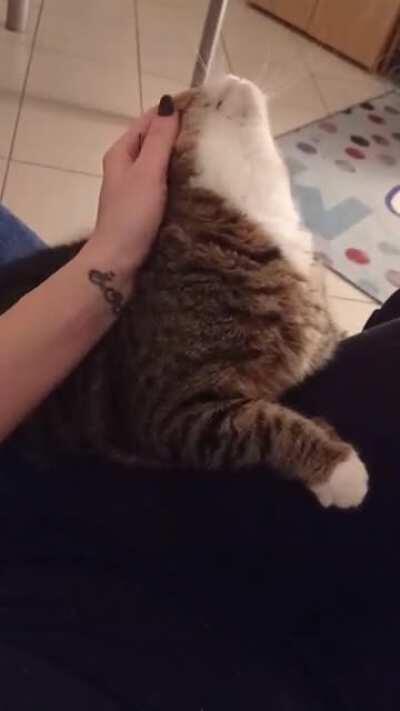 Skippy comes to 'collect' on scritches