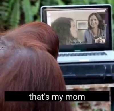 Your momma so fat she is die 😈