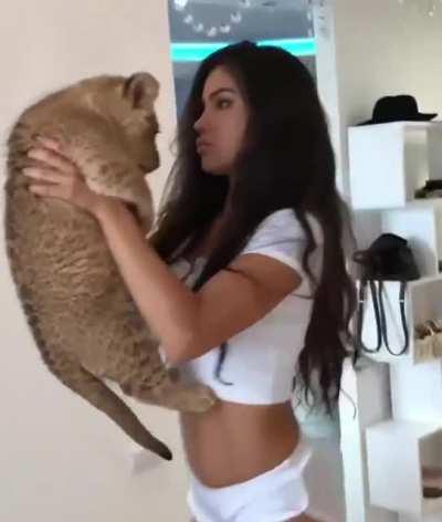 To reenact The Lion King