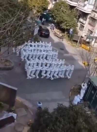 They just loaded up the cats into sacks to leave on the sidewalk and cemented us all inside our homes, but i was lucky enough to catch this glimpse of their dance routine before the yelling drone forced me back inside!