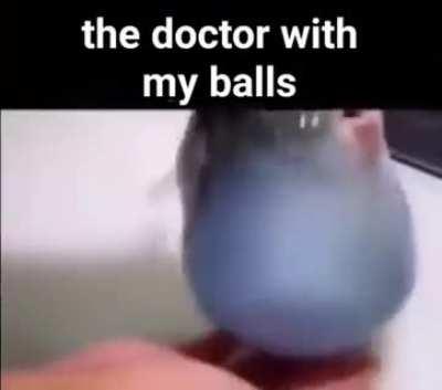 doctor with my balls