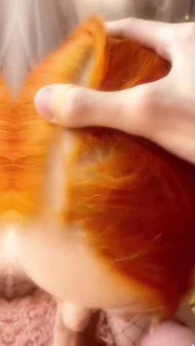 Amazing compilation reload