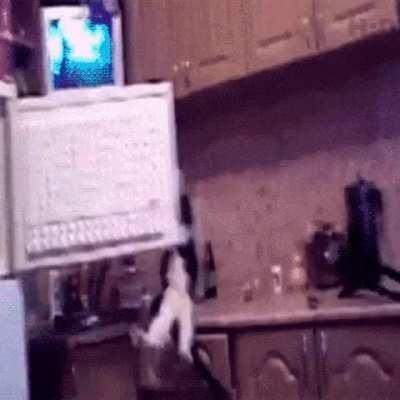 Some says each sentence of the prelogy can be a meme. They underestimate my power!