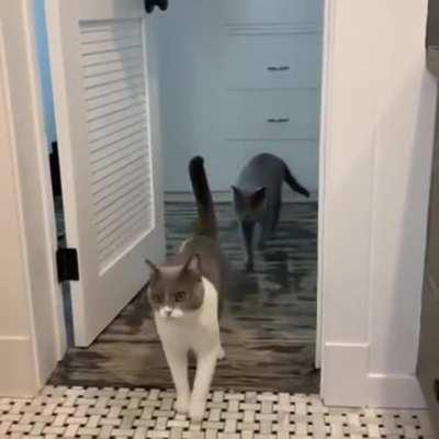 I laughed for a long time, they are so nice!