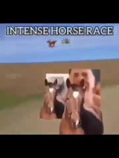 Corrida intensa de cavalos