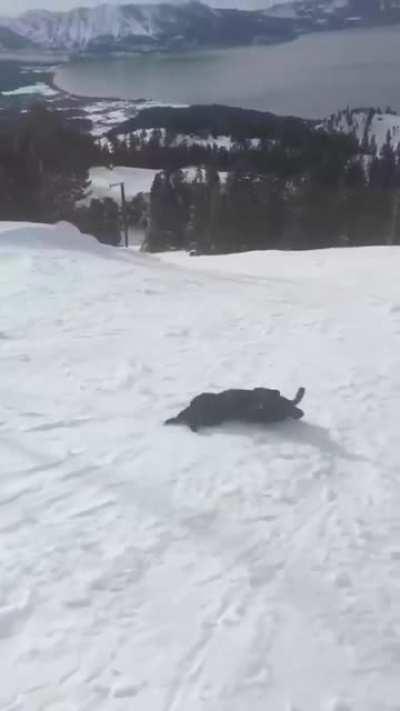 No time for walking, My people need me