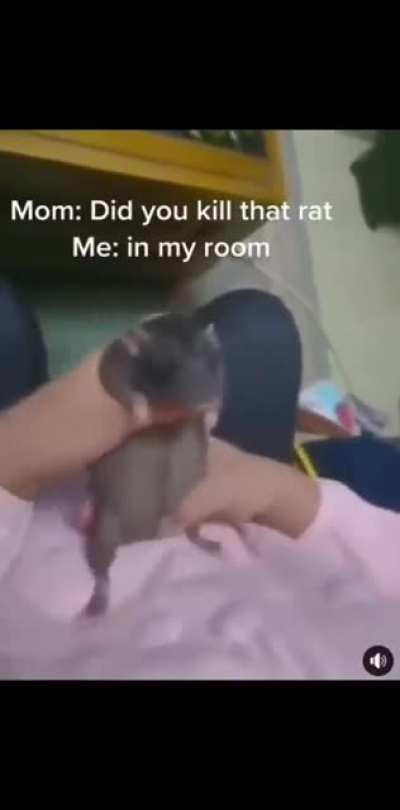 Lol, poor rat