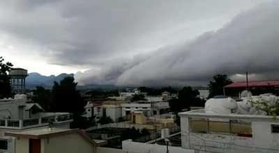 Encountered this today, I live at foothills of the himalayas.