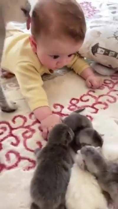 Mamas always doing what they always do best