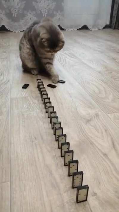 “Did I do that?”