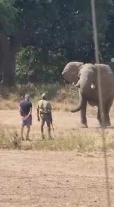 Manz got balls of steel and alot of trust