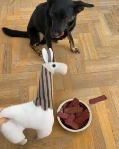 Yeah, that’s gunna be a no from me, dawg.