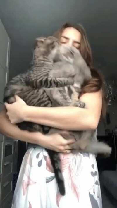 O que poderia dar de errado ? novo video. link nos comentários (Reddit Ready)