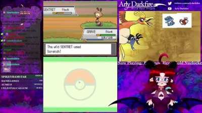 Hello~pal reddit! Do you like clips? I sure do!