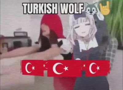 Turkish wolf.