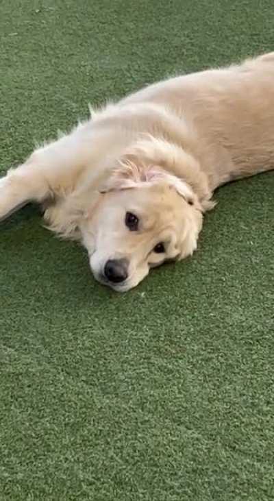 Luke loves to sneak attack me 😂