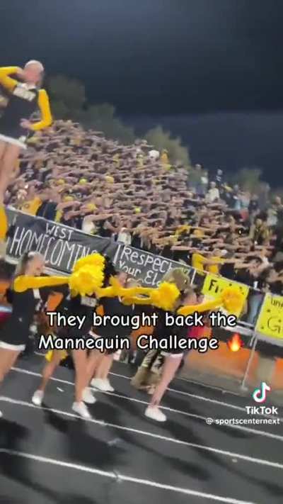 American High schoolers do the mannequin challenge