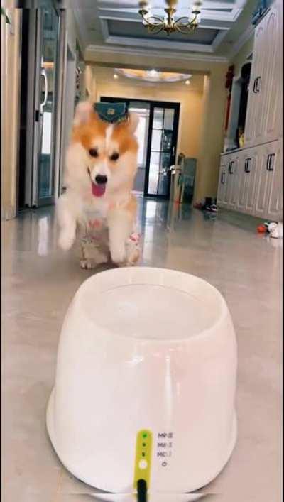 I'm having fun by myself!