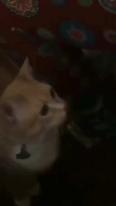 WHAT WAS THAT?! GIVE!!