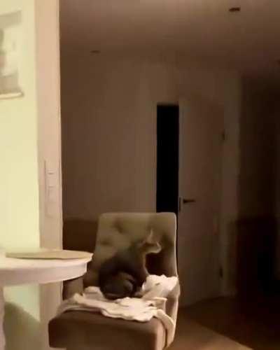 They just copy everything they see on the TV, don't they?