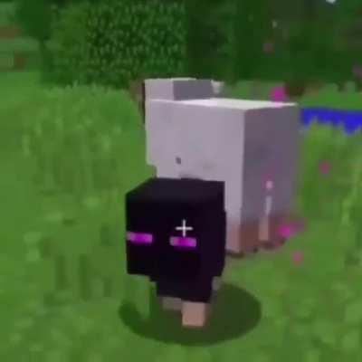 Que wea acabo de publicar?