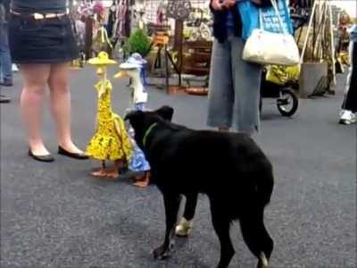 Wanda couldn't bear to see his furry face again, especially while out on the town with the ladies. She couldn't go back to him now though. Despite their feelings, it was an unnatural affair, especially for a lady of her esteem.