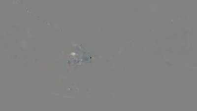 Singing driver reaches 155 km/h on snowy highway before crashing 