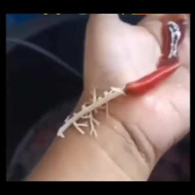 When you thought that it couldn’t get worse…