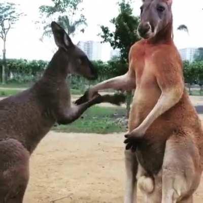 i apologize, but he is still angry.