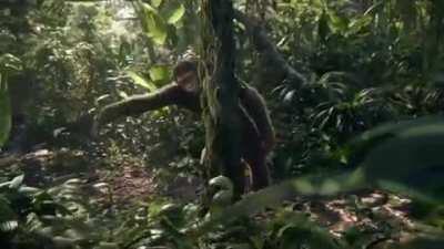 Thugs when they hear batman retired: