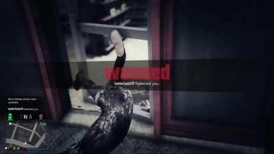 My experience with GTAO so far 2