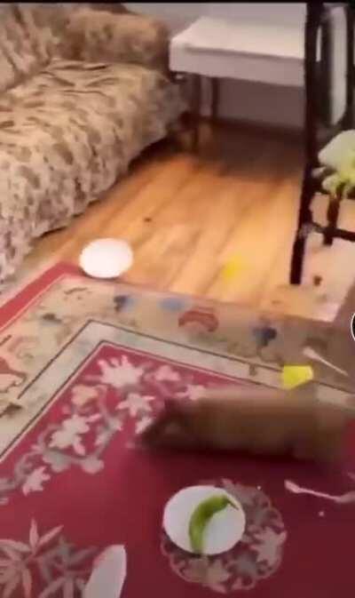 Needed to cook for longer