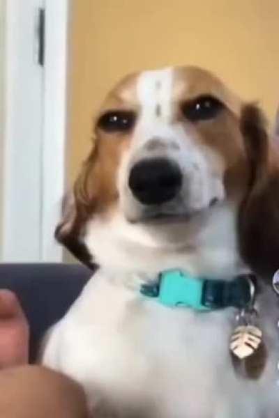 Умм, сушечки!