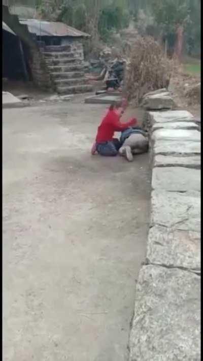 the ultimate revenge