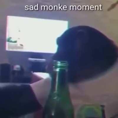 sad monke 😥😥😥