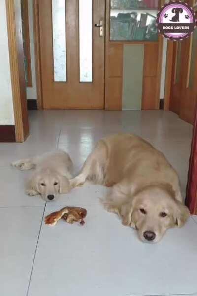 Putting others before yourself!! What a lesson...