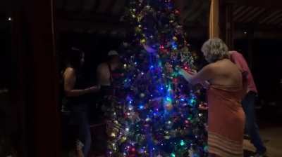 Helping with the tree