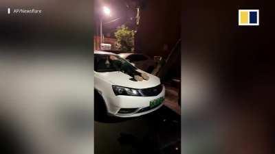 This boy's mother locked him out of the house while collecting a subsidy from the government.