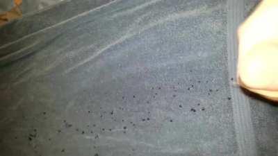 Somehow the 10th spurt was way bigger than the 5th 😅