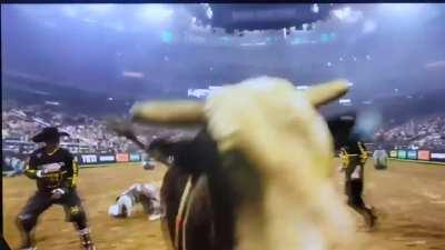 Starched after the spin cycle