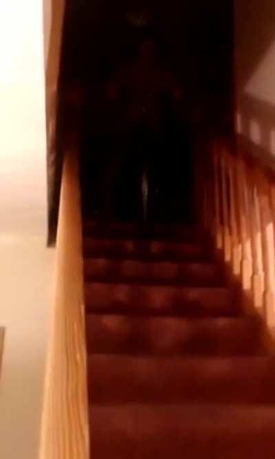 Cycling down the stairs while being drunk